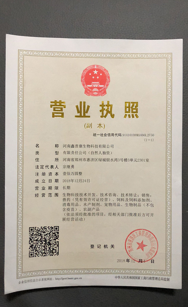 1593676384609002386.jpg yyzz.jpg